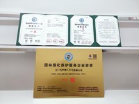 上海市工商營業(yè)執(zhí)照代辦、組織機(jī)構(gòu)代碼證代辦與財務(wù)代理服務(wù)全解析